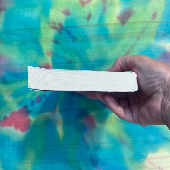 🤗24- (2fer) Kingdom Of Fear At The Air BNB - Picture 17 of 17